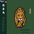 巴拿馬 凱薩路易斯(波奎特精選)